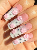 Cherry Blossoms
