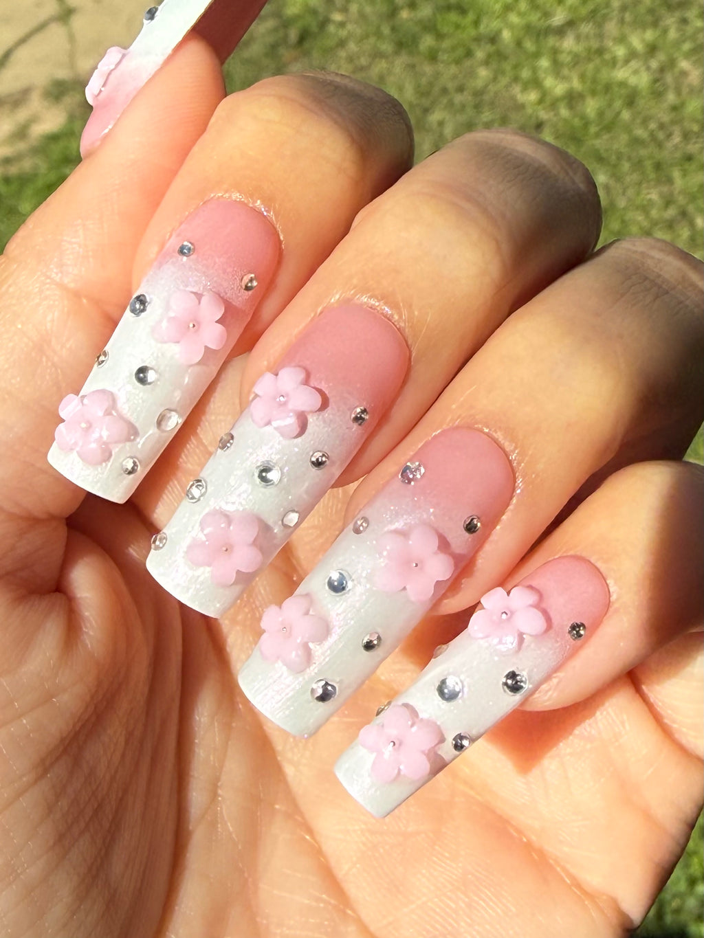 Cherry Blossoms
