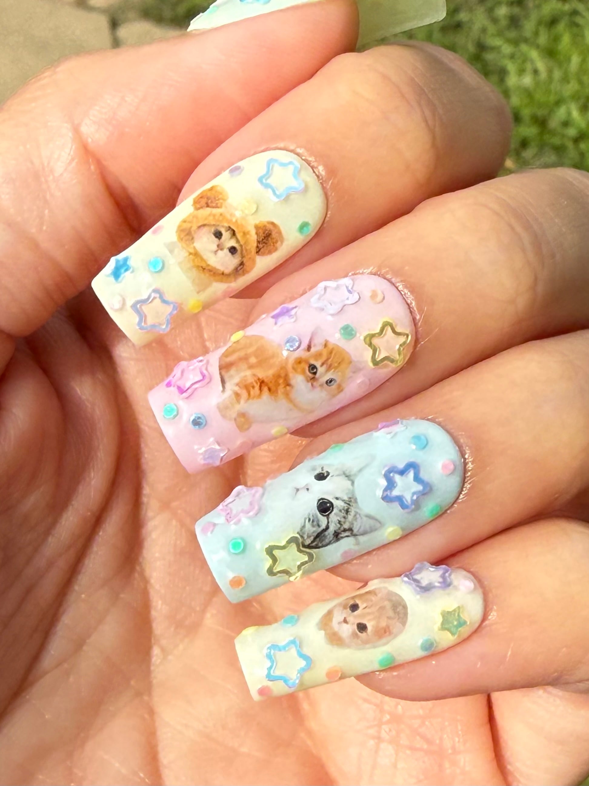 Kitty Cats ₍^. .^₎Ⳋ