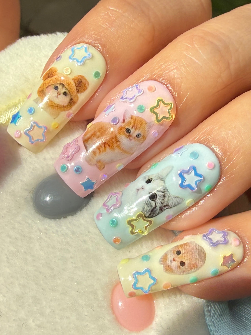 Kitty Cats ₍^. .^₎Ⳋ