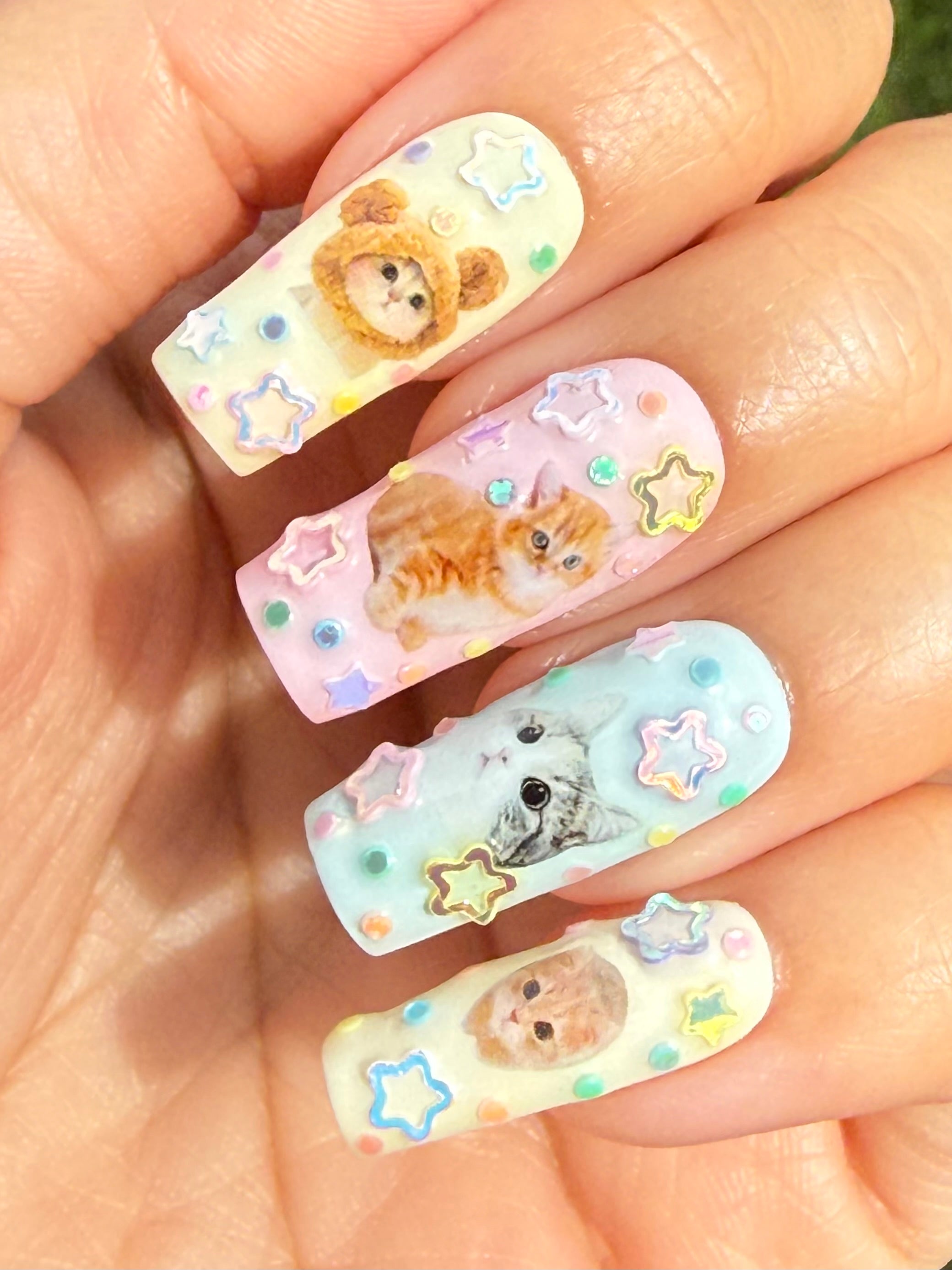 Kitty Cats ₍^. .^₎Ⳋ