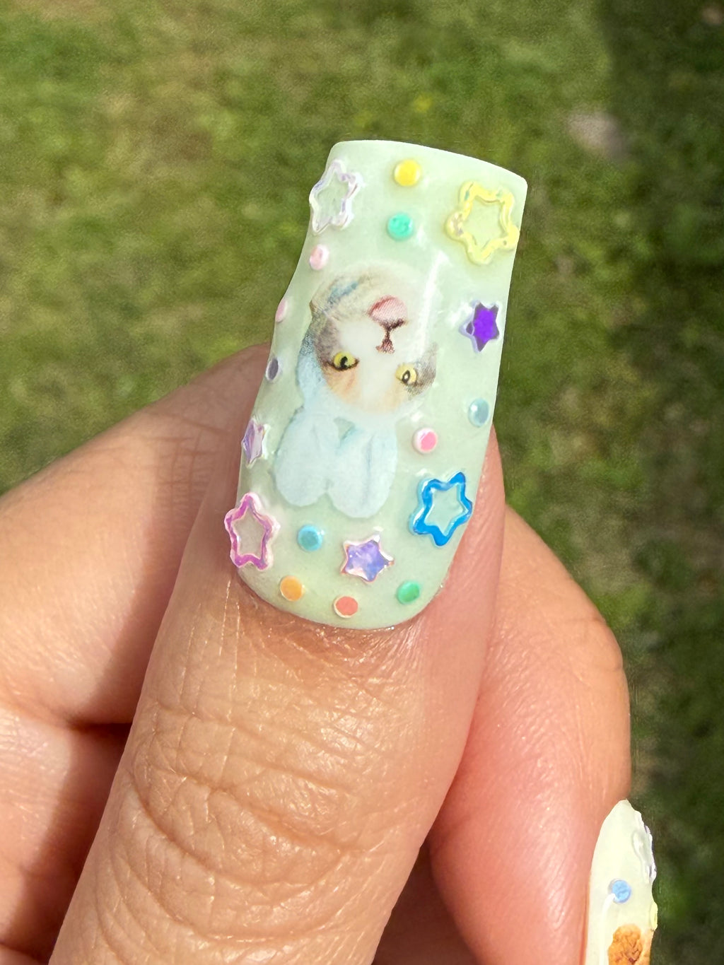 Kitty Cats ₍^. .^₎Ⳋ